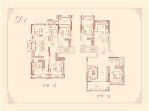 ��Ժ��D1����